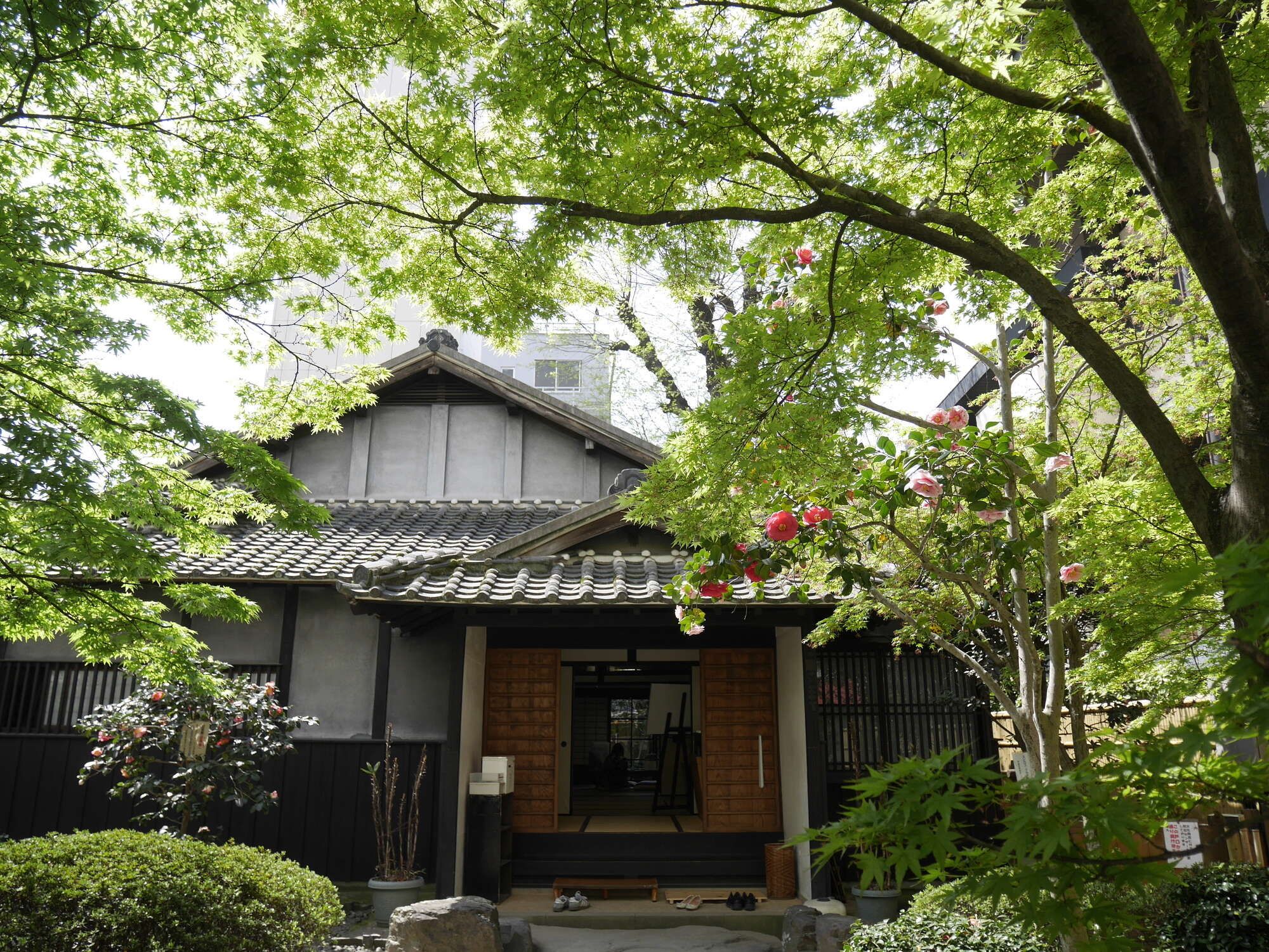 【ばけばけ】なんという脚本...美しい「愛」の描き方とそれを支える髙石あかりの表現力 pixta_39360463_M.jpg