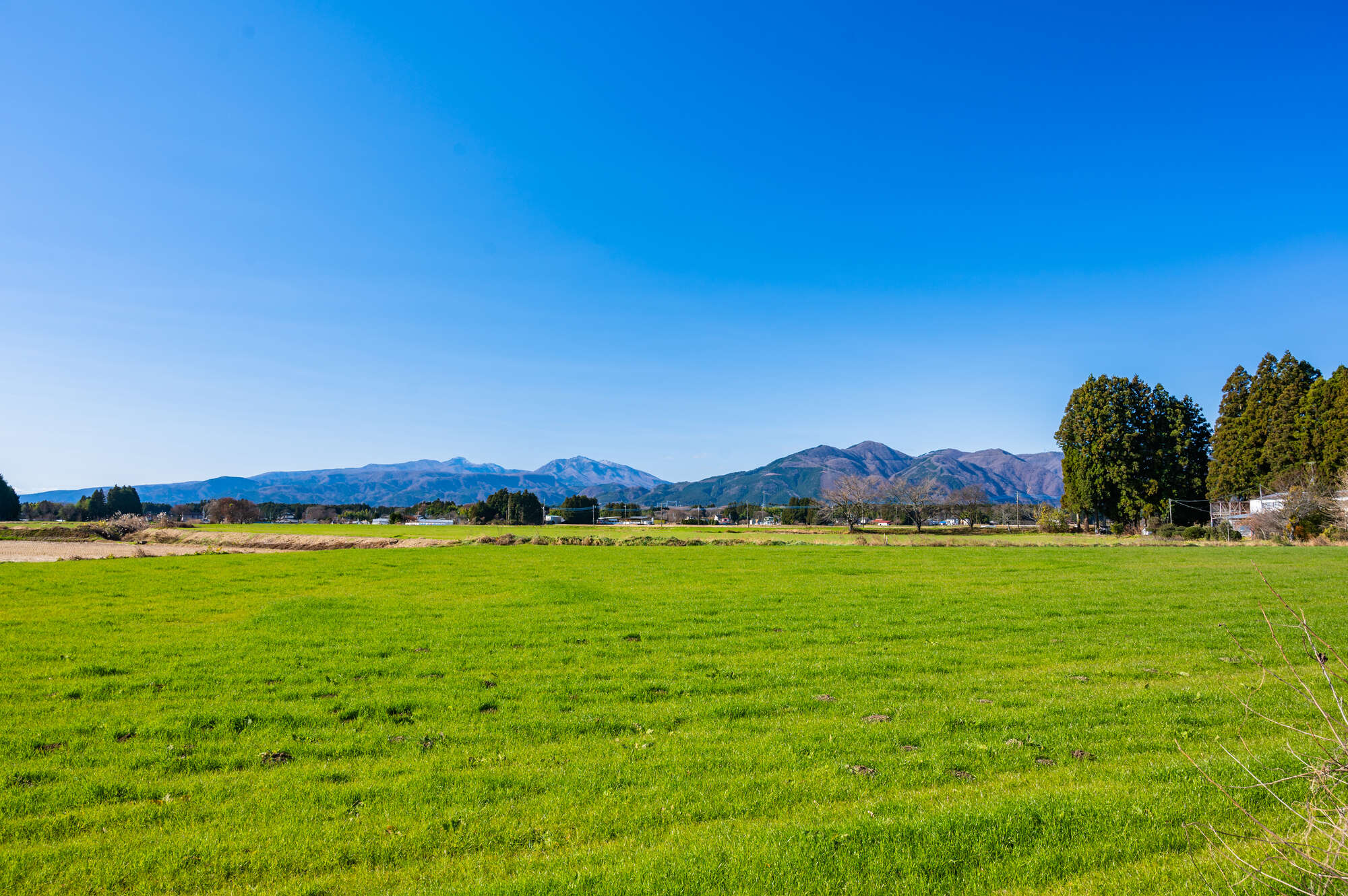 【風、薫る】見上愛×上坂樹里、新朝ドラ開幕！ 第1週で描かれた「正しさ」への問いと、運命のバディ誕生の予感 pixta_85782749_M.jpg
