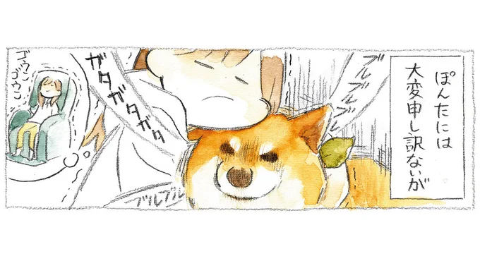 うちの柴犬のこれが「たまらない」。雷に怯えて震える愛犬をヒシッと抱き締めて...／柴犬ぽんちゃん