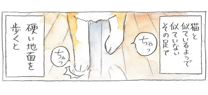 柴犬の「肉球パーカッション」...心地よいリズムで廊下を歩く愛犬の位置がわかる？／柴犬ぽんちゃん