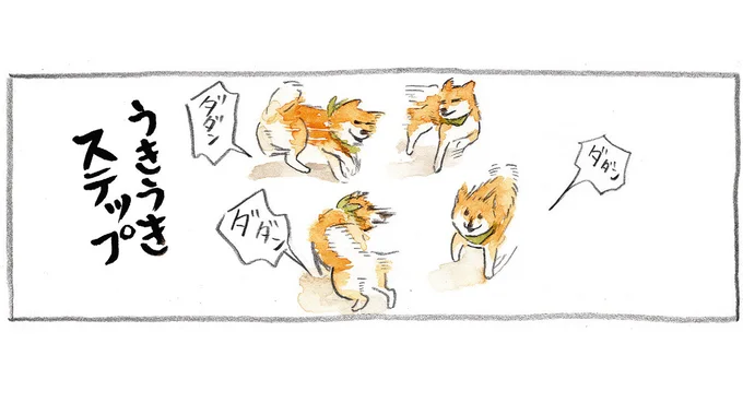 「さんぽ」と聞いた柴犬。うきうきステップを踏み出すが、出発前に...え？／柴犬ぽんちゃん