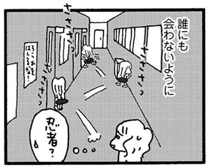 「誰にも会いませんように」小5娘の不登校67日目。保健室登校を始めたが...／娘が学校に行きません