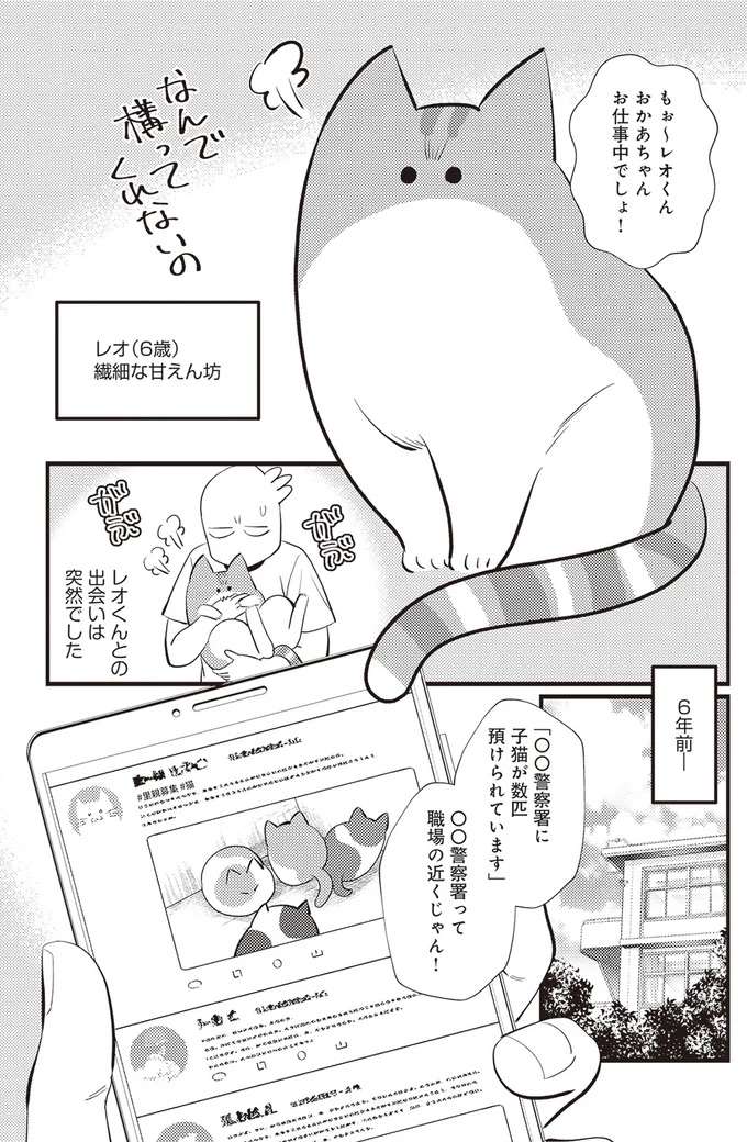 『レオとシロウのドタバタ猫日記』 reo1_2.jpeg