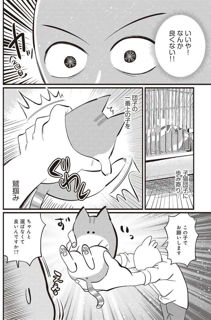 『レオとシロウのドタバタ猫日記』 reo1_5.jpeg