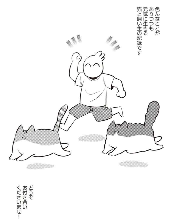 『レオとシロウのドタバタ猫日記』 reo1_9.jpeg