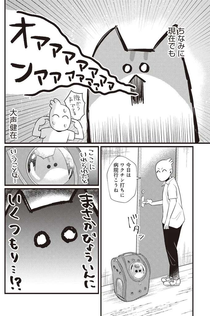 『レオとシロウのドタバタ猫日記』 reo2_7.jpeg