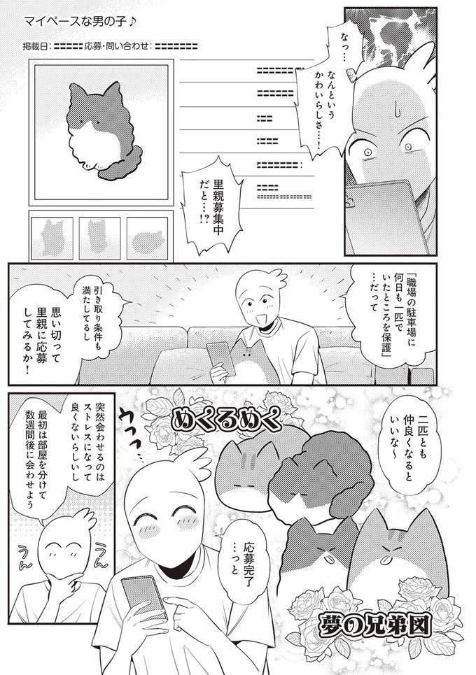 『レオとシロウのドタバタ猫日記』 reo3_2.jpeg