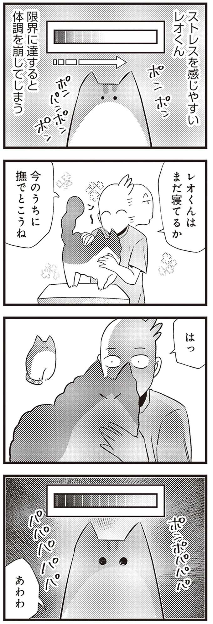 『レオとシロウのドタバタ猫日記』 reo5_1.jpeg