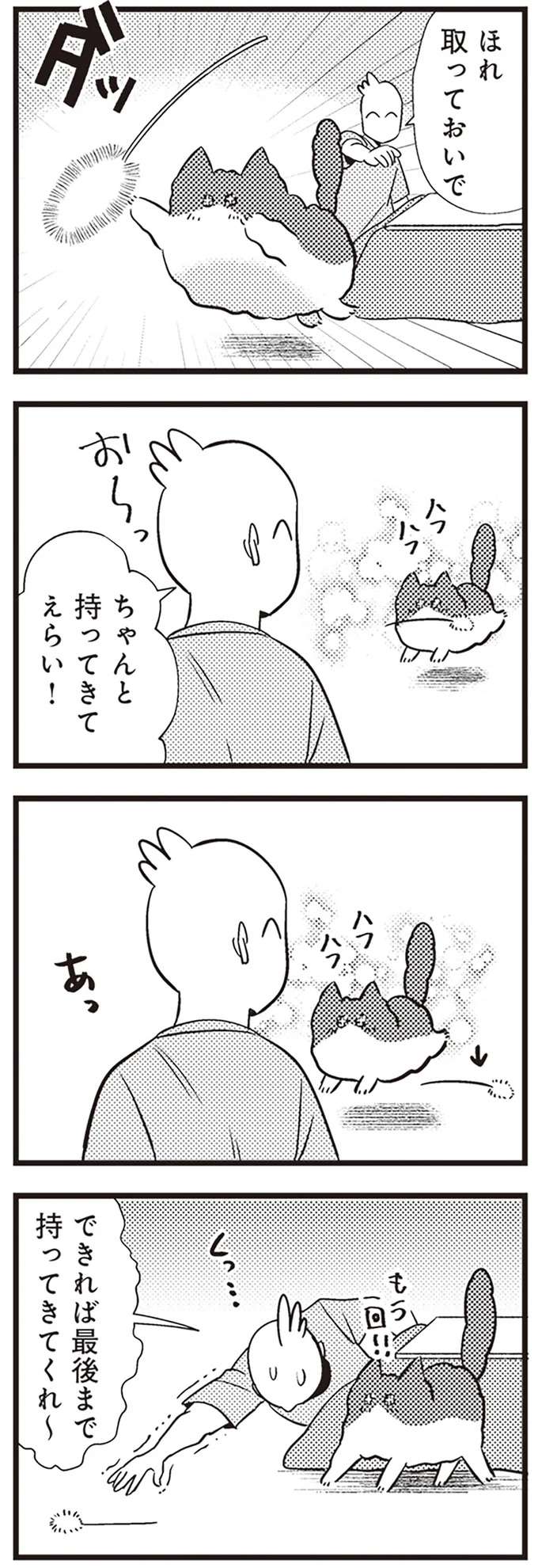 『レオとシロウのドタバタ猫日記』 reo5_2.jpeg