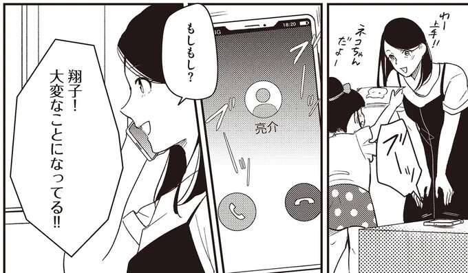 「家庭内暴力や虐待」息子を連れ去った夫は、デタラメをSNSで発信。その狙いは...？／産後10日でホームレス sangotooka10_1.jpeg