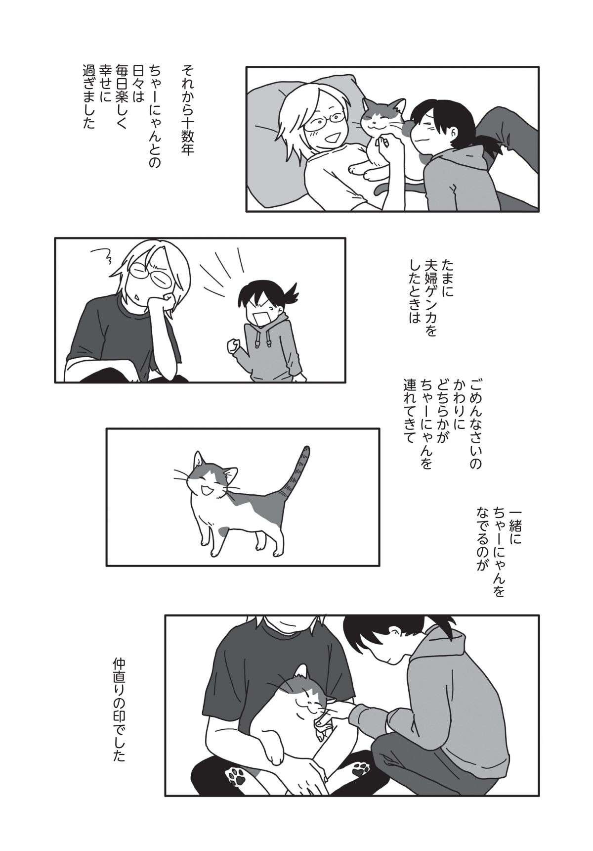 「結婚したらかわいい猫までついてくるなんて」。2人と1匹の家族誕生／世界一幸せな飼い主にしてくれた猫 sekaiichishiawase2-6.jpg