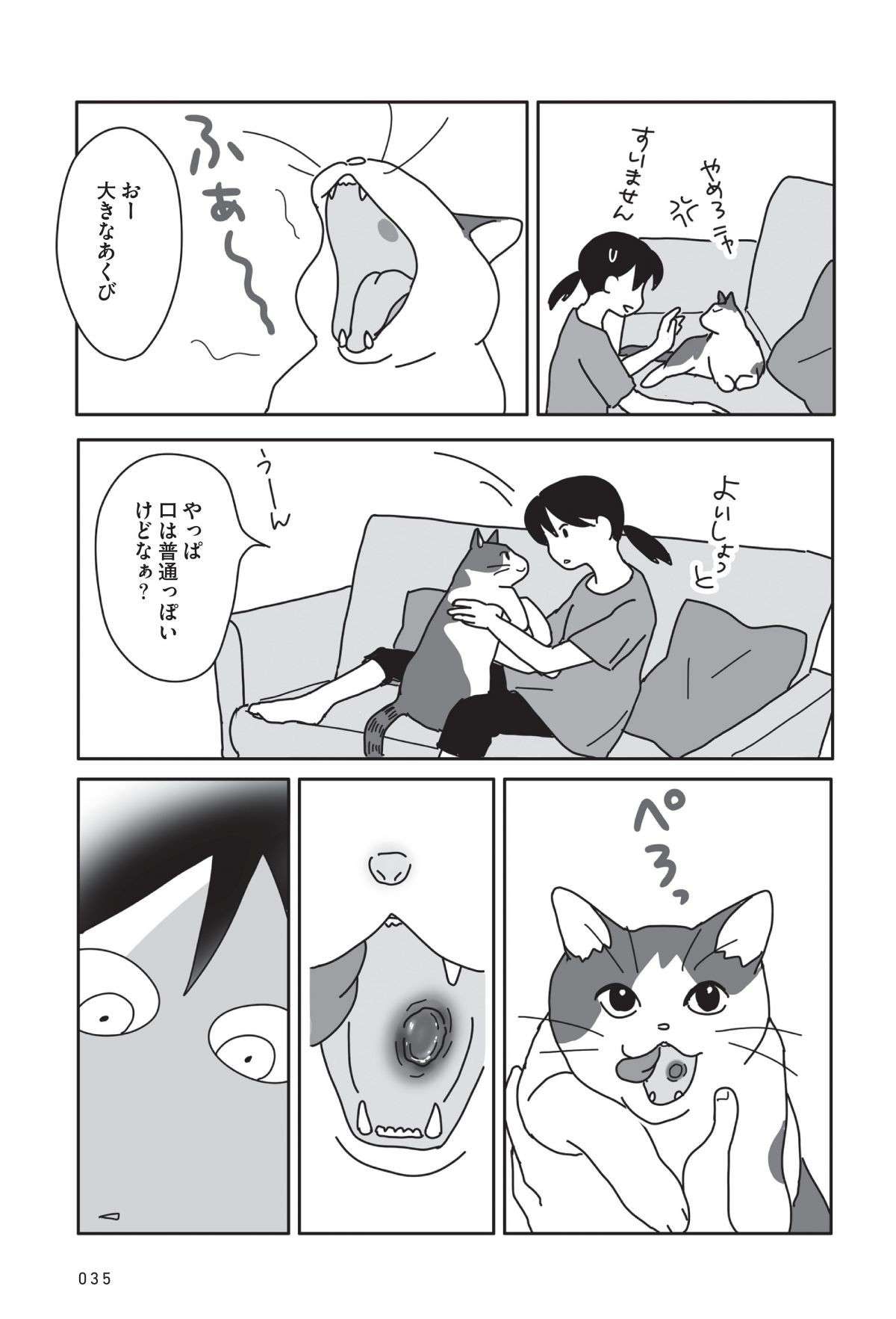 愛猫を診察した医師が、ため息の後に口にした「病名」。飼い主は呆然とした後...／世界一幸せな飼い主にしてくれた猫 sekaiichishiawase4-2.jpg
