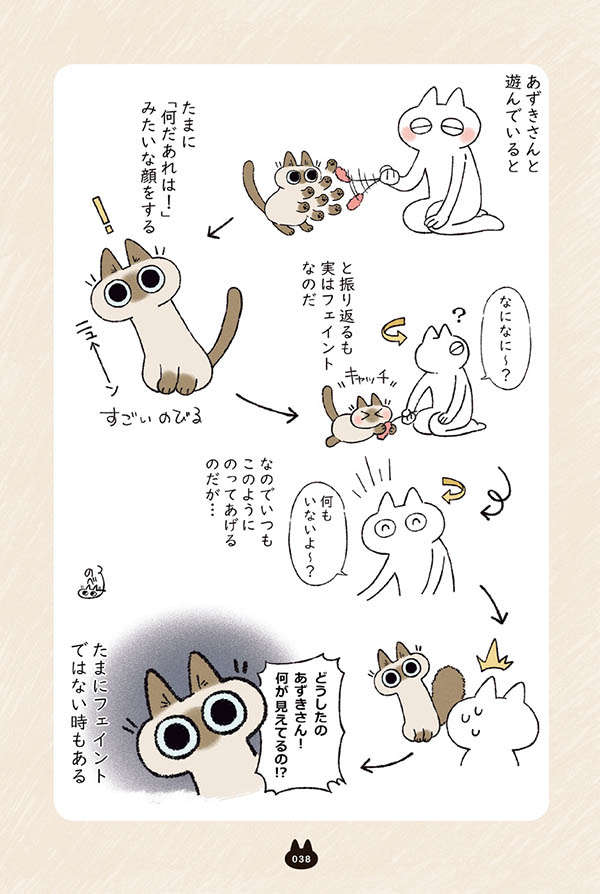 「何だあれは！」みたいな顔をする愛猫。振り返ってみると...／シャム猫あずきさんは世界の中心 shamuneko07_03.jpg