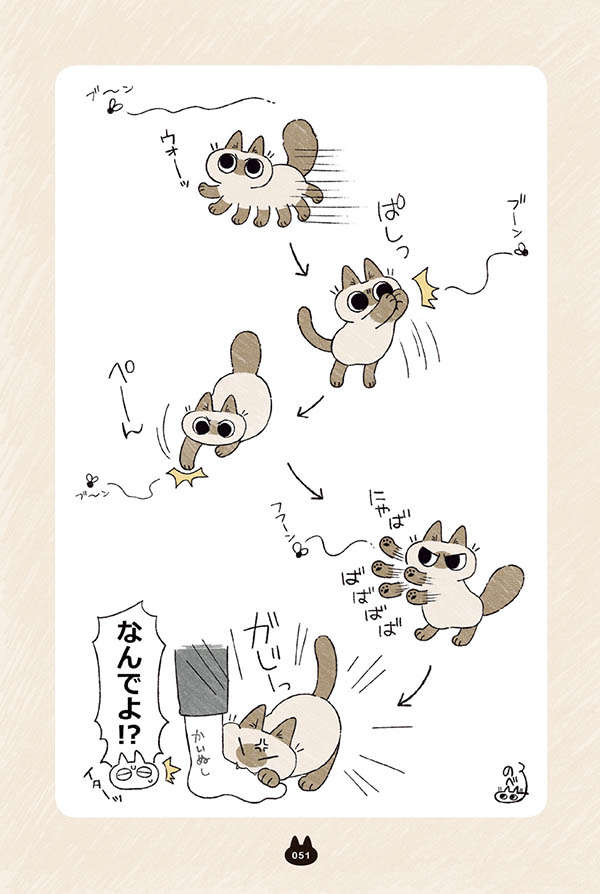 うちの愛猫はトンネルが好きすぎて...飼い主の足を「カブー！」／シャム猫あずきさんは世界の中心 shamuneko10_04.jpg