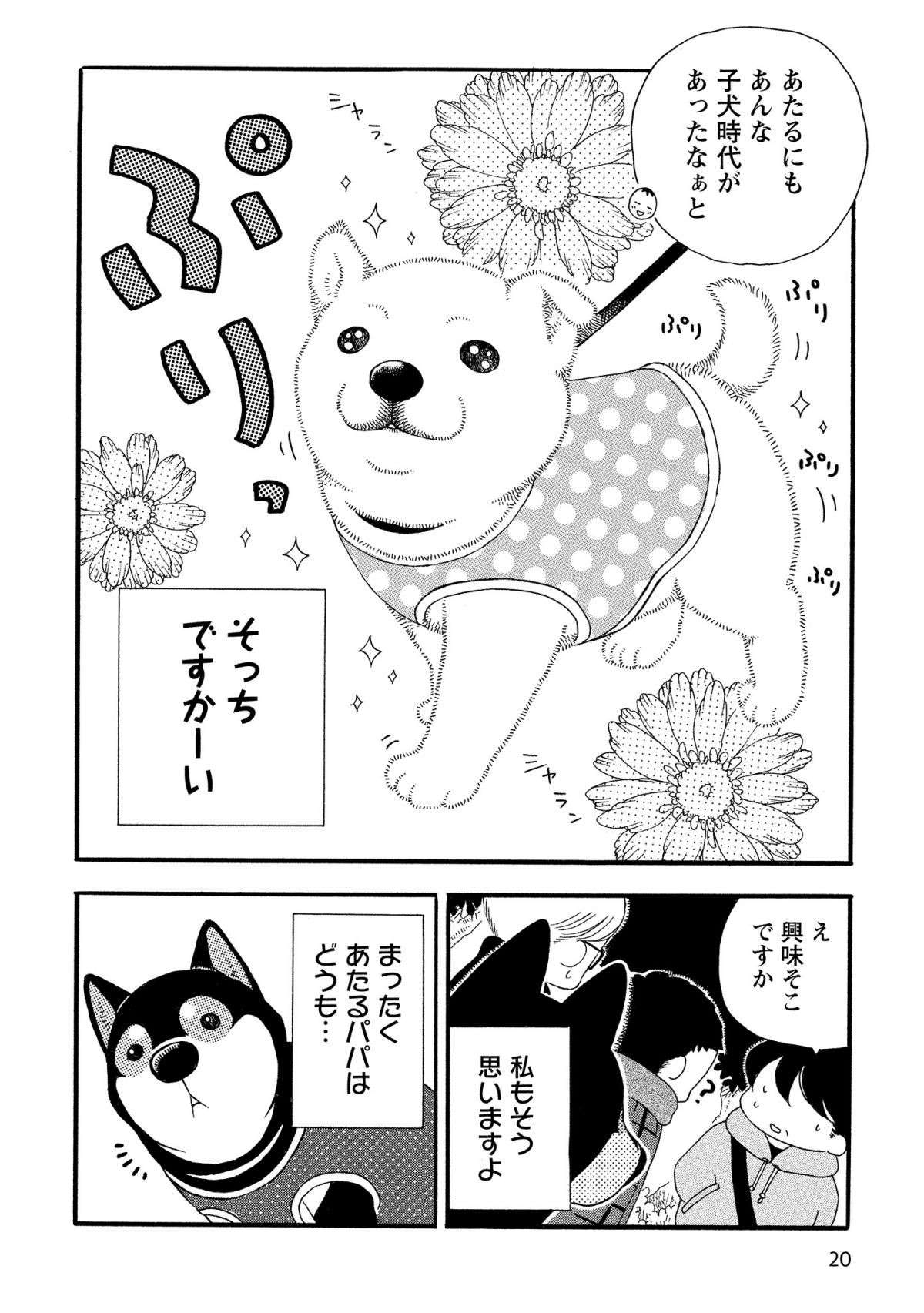 これが聞こえるとびくっ！ 犬の飼い主にも「習性」が...柴犬の飼い主3人とも!?／柴公園 shibakouen2-6.jpg