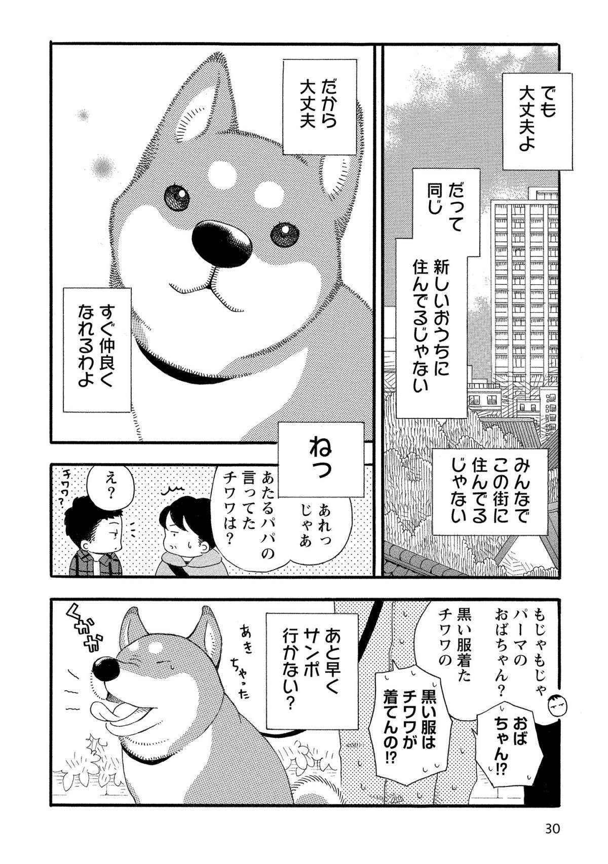 「こんにちはってこうすればいいのよ」柴犬流、新しい街で仲良くなる方法／柴公園 shibakouen3-8.jpg