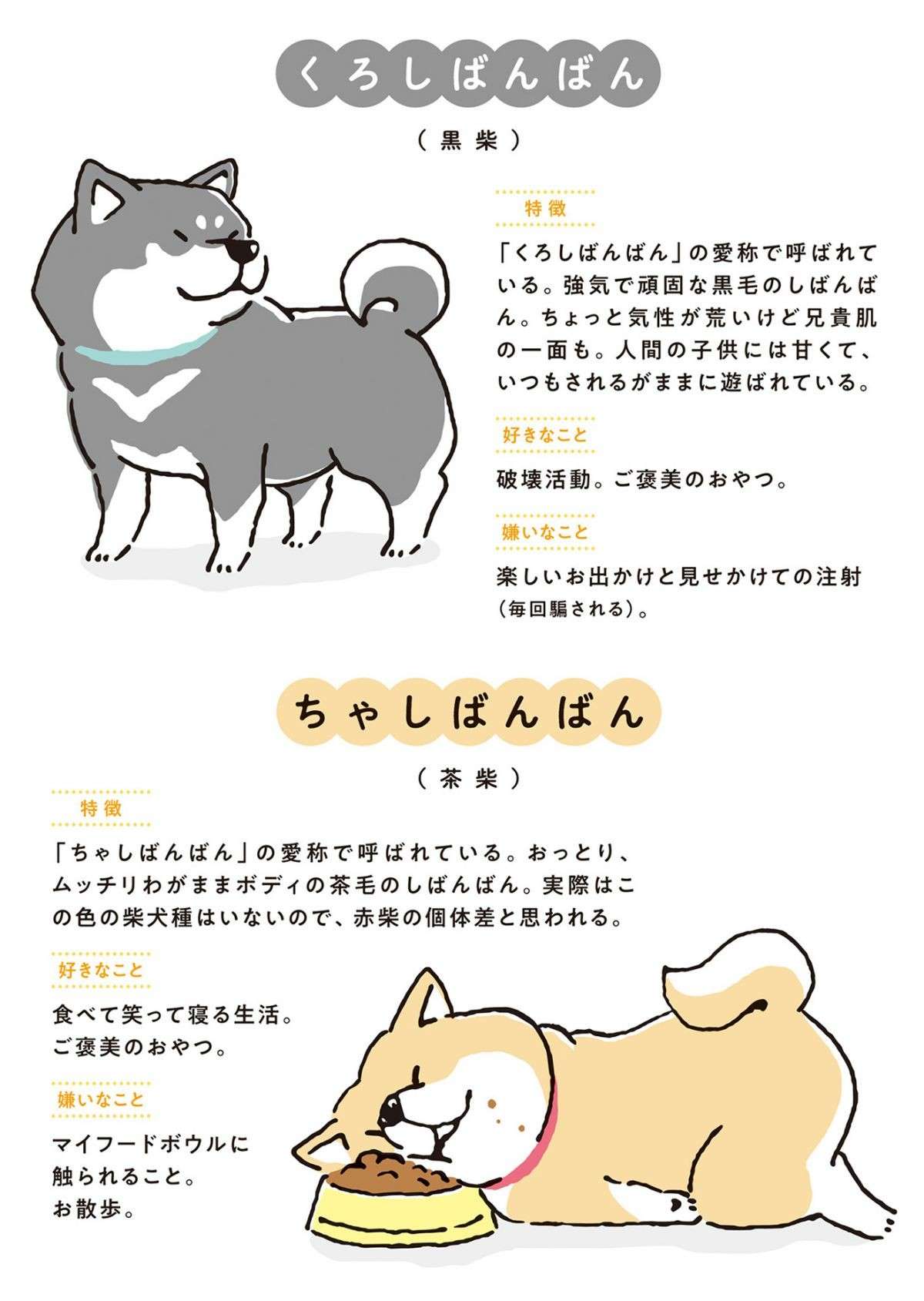  ビビリ、兄貴肌、おっとり...どこかの誰かが飼っている柴犬たち「しばんばん」は個性豊か／しばんばん shibanban-i-003.jpg