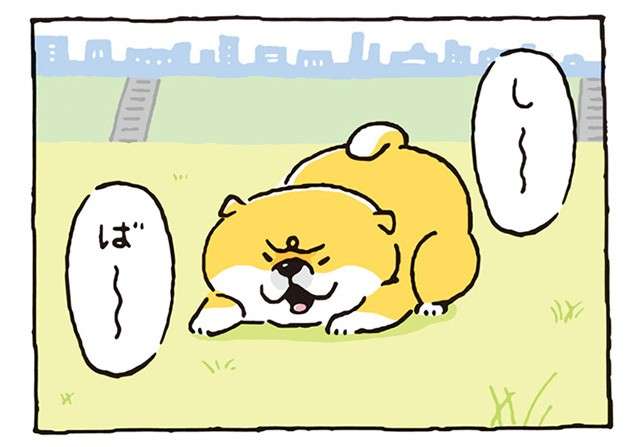 かわいい柴犬キャラ「しばんばん」の世界。「柴ドリル」の練習をする姿がたまらない／しばんばん  shibanban-i-048-1.jpg