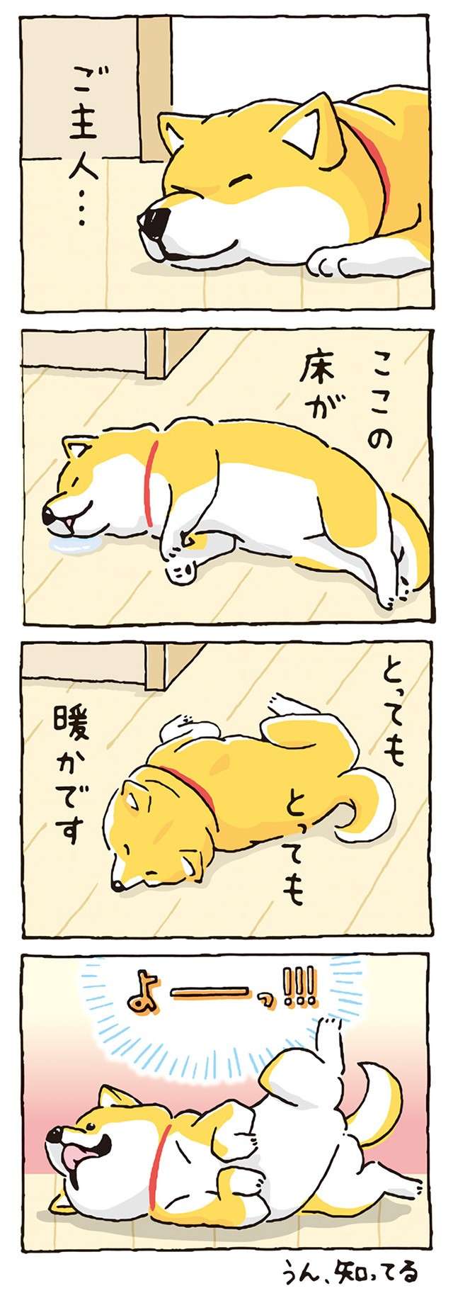 かわいい柴犬キャラ「しばんばん」の世界。「柴ドリル」の練習をする姿がたまらない／しばんばん  shibanban-i-051.jpg