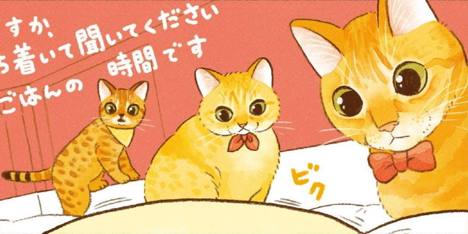 朝ごはんを求める愛猫たちの「無言の圧」。スマホのアラームよりも効果的？／しまねこ3姉妹と暮らしています