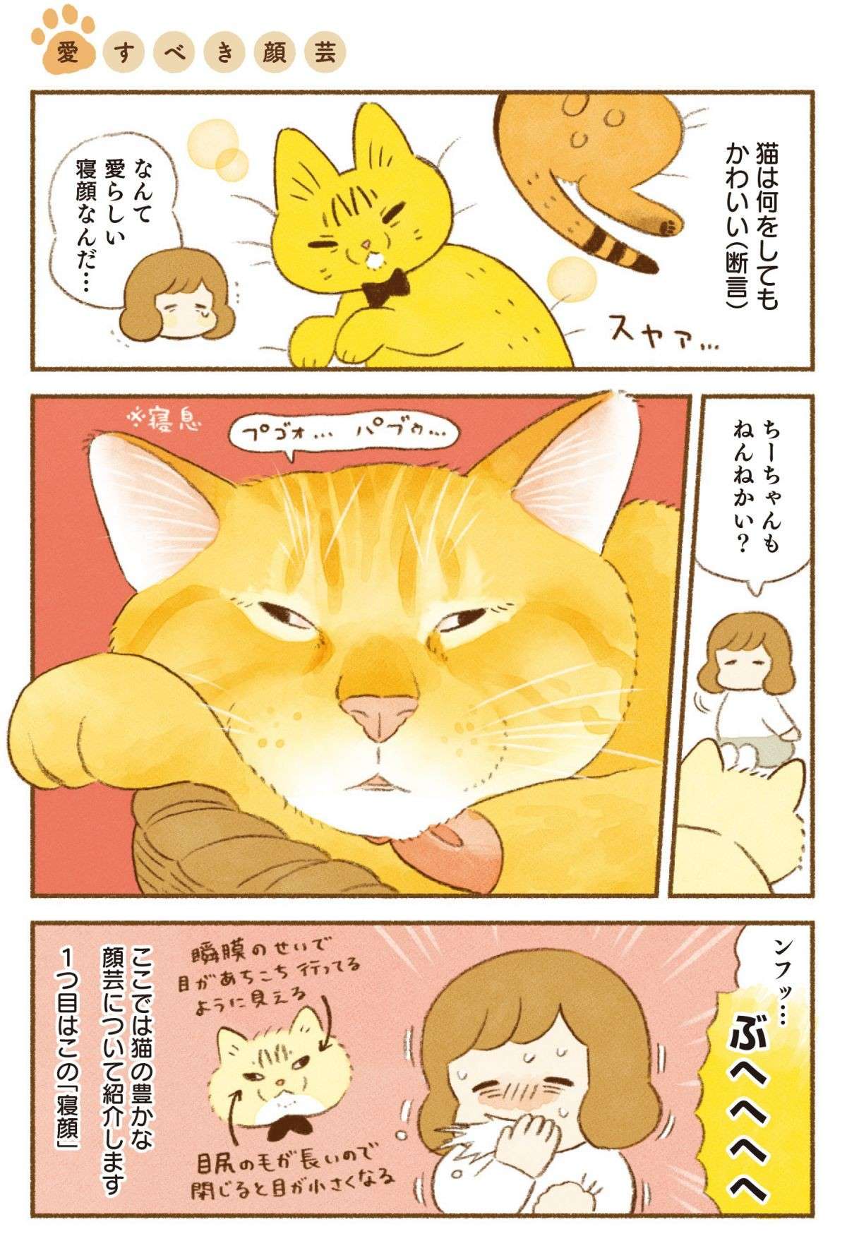 飼い主が愛してやまない「猫の顔芸」。愛らしい寝顔から凶悪な顔まで／しまねこ3姉妹と暮らしています shimaneko_p11.jpg