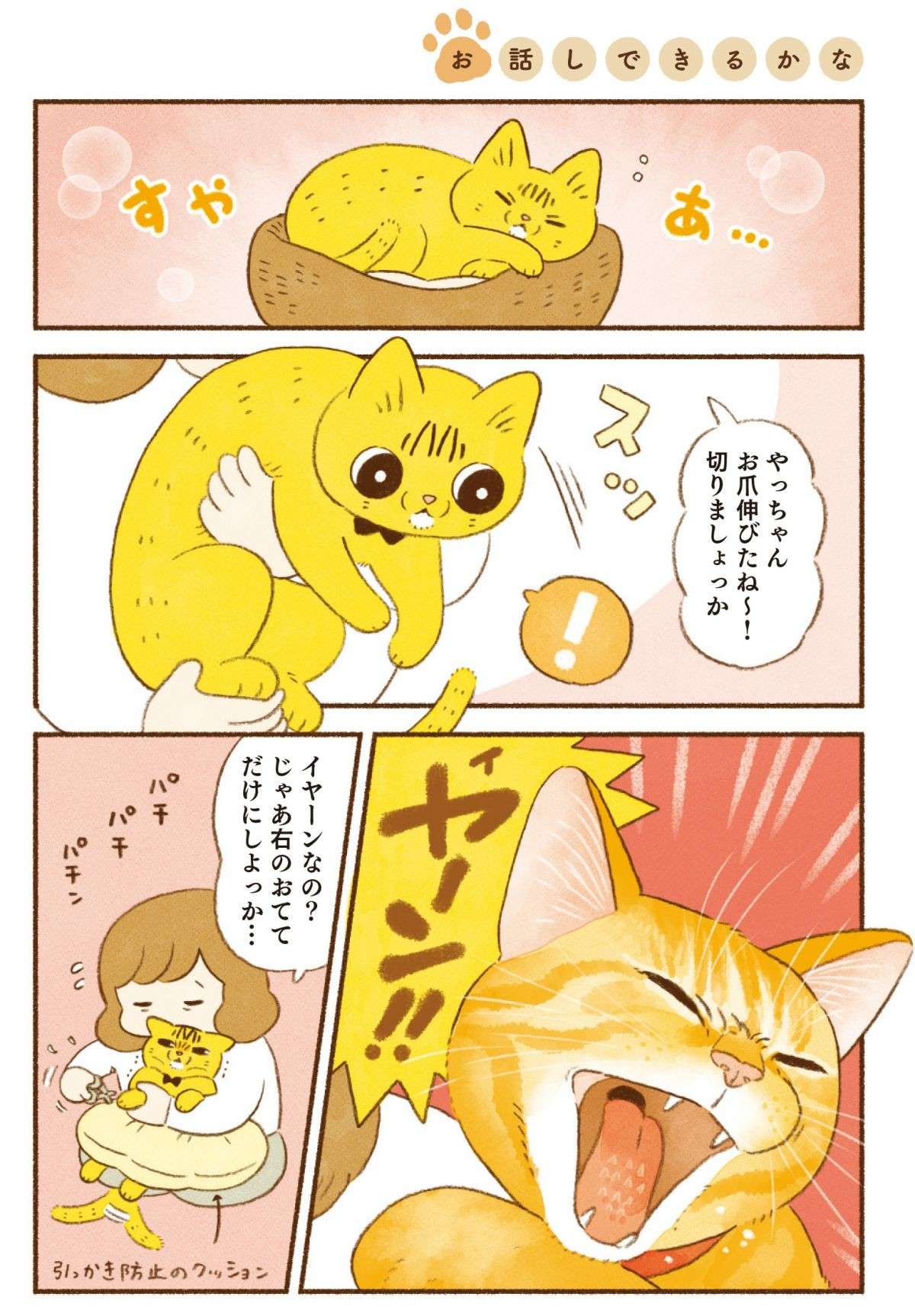 「絶対わかってるよね!?」 猫たちに話しかけると返事が返ってくる／しまねこ3姉妹と暮らしています shimaneko_p34.jpg