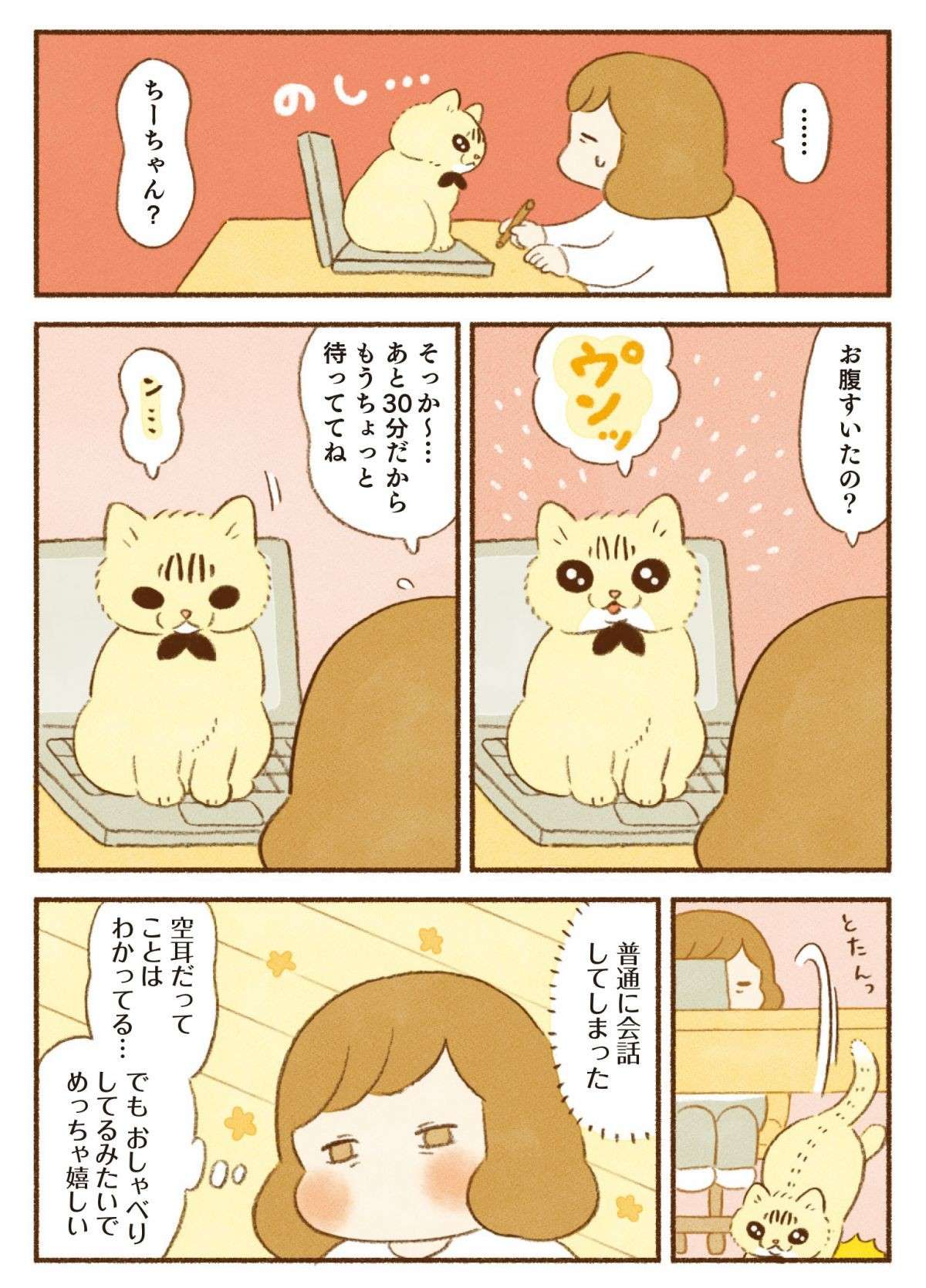 「絶対わかってるよね!?」 猫たちに話しかけると返事が返ってくる／しまねこ3姉妹と暮らしています shimaneko_p35.jpg