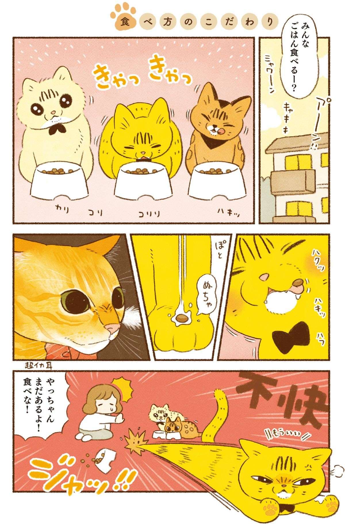 美食タイプに会社員タイプ？ 愛猫たちのこだわりの食べ方／しまねこ3姉妹と暮らしています shimaneko_p38.jpg