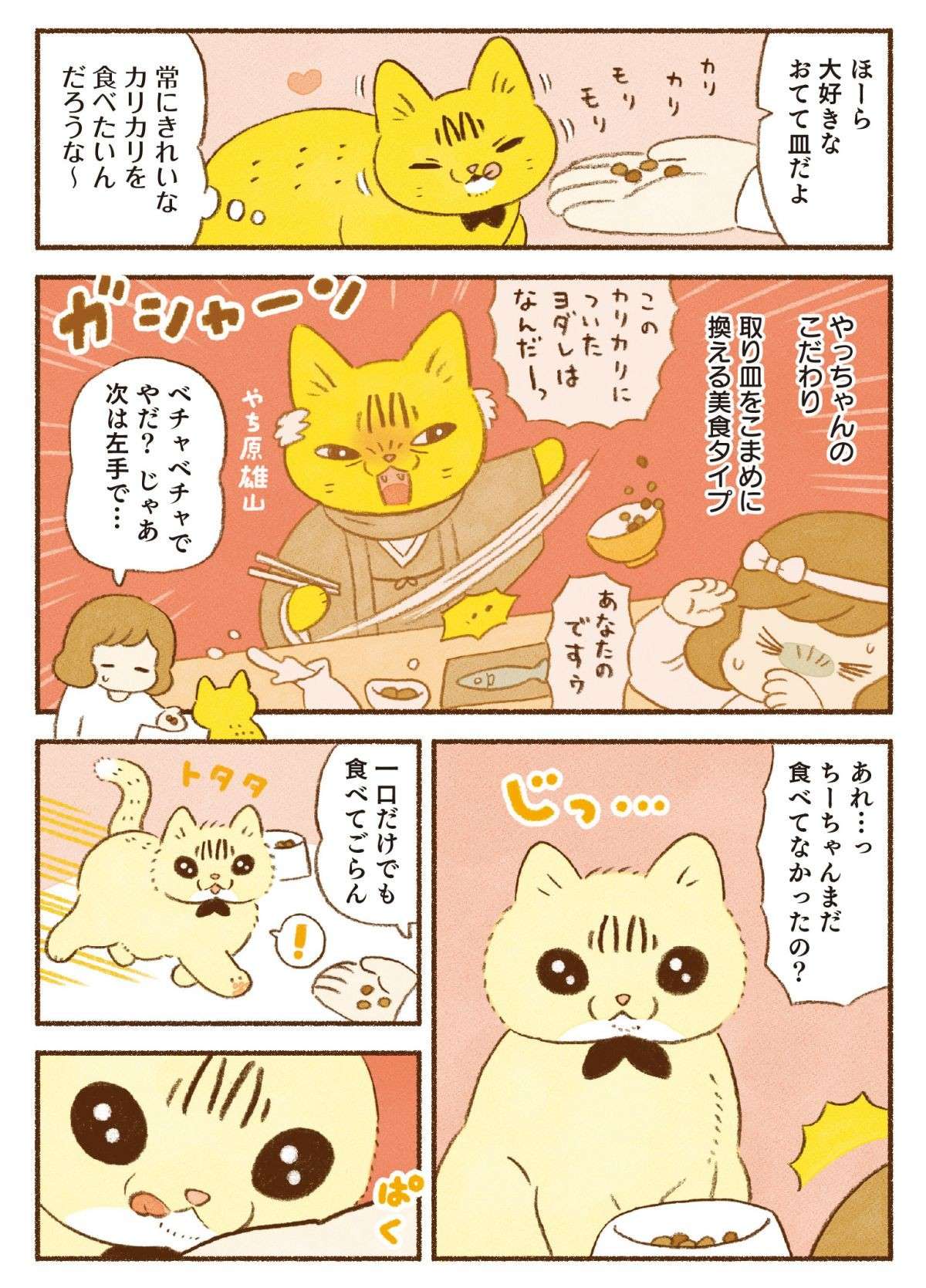 美食タイプに会社員タイプ？ 愛猫たちのこだわりの食べ方／しまねこ3姉妹と暮らしています shimaneko_p39.jpg