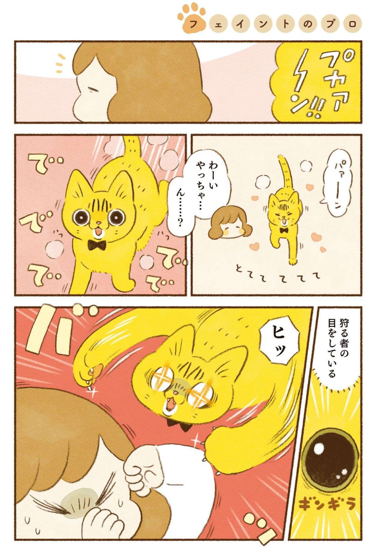 「だましたなー⁉」愛猫たちのフェイントに振り回される...／しまねこ3姉妹と暮らしています shimaneko_p42.jpg