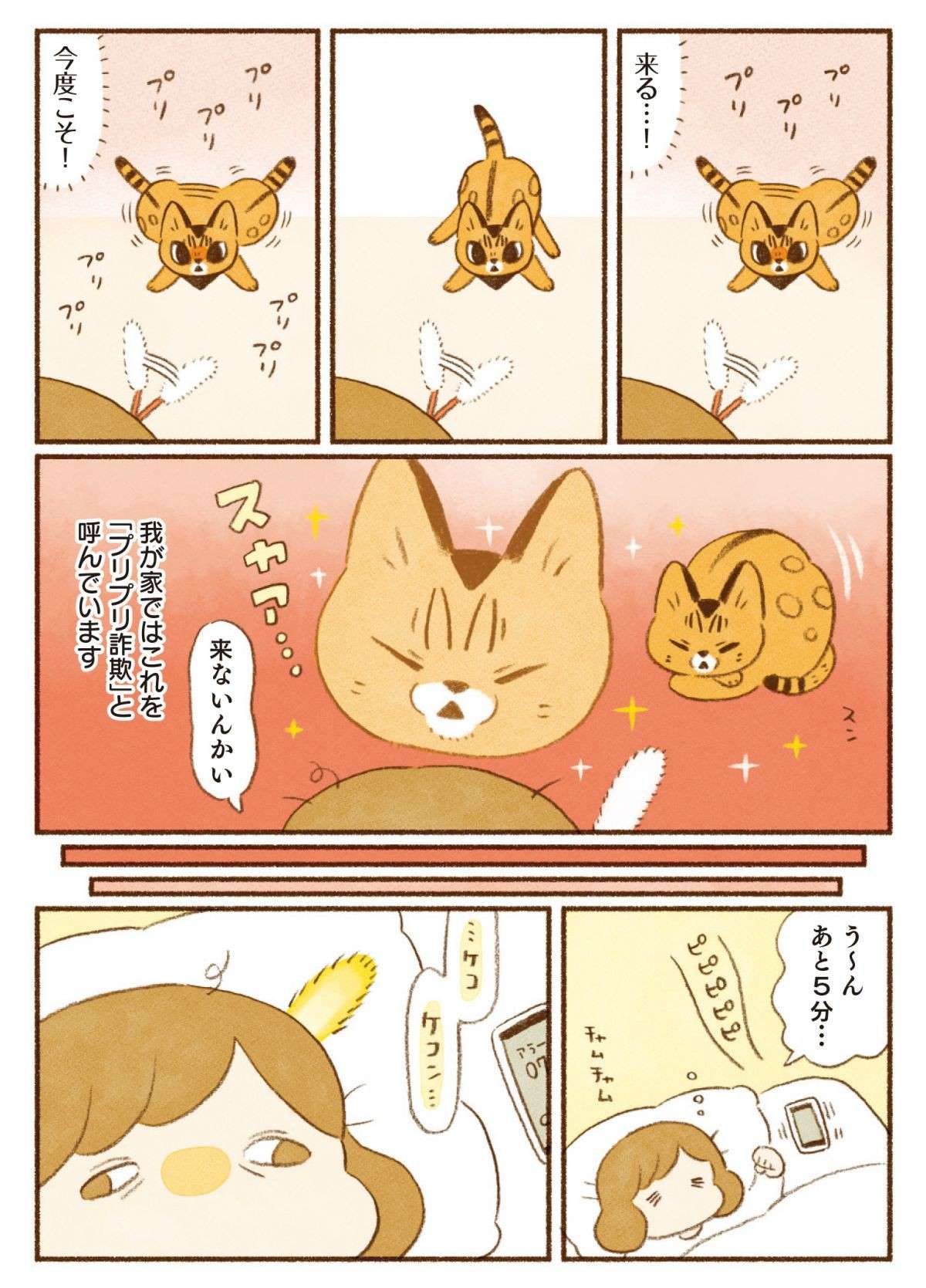 「だましたなー⁉」愛猫たちのフェイントに振り回される...／しまねこ3姉妹と暮らしています shimaneko_p44.jpg