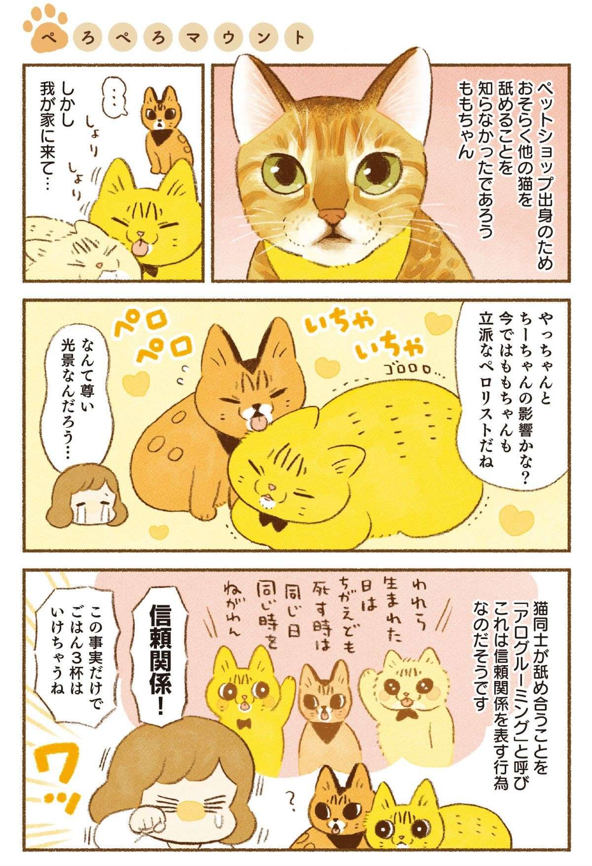 愛猫同士が舐め合う尊い光景。でも実は姉猫の「先輩アピール」もあった...⁉／しまねこ3姉妹と暮らしています shimaneko_p57.jpg