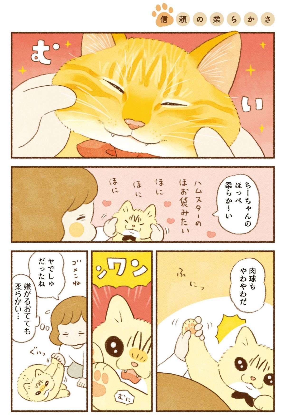 「猫は液体」というけど...こういう時だけは漬物石のようにギチチチチ／しまねこ3姉妹と暮らしています shimaneko_p64.jpg