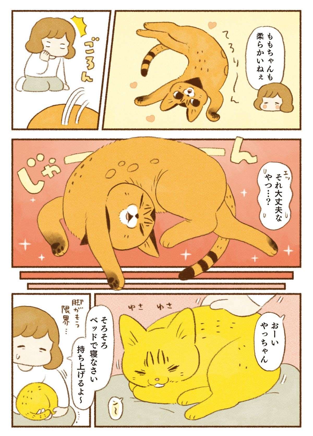 「猫は液体」というけど...こういう時だけは漬物石のようにギチチチチ／しまねこ3姉妹と暮らしています shimaneko_p65.jpg