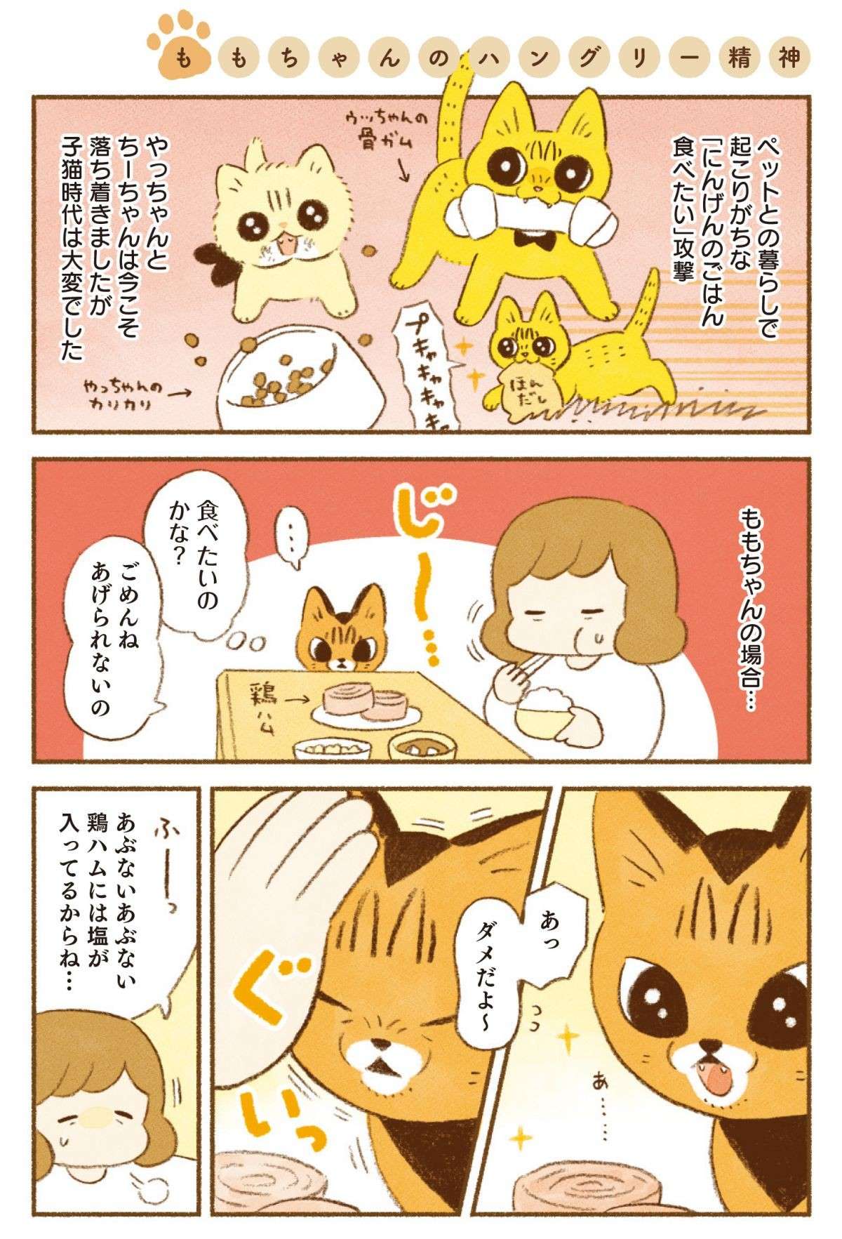 うちの猫は「意外とチョロい」。人間の食べものを狙っていたが、え？／しまねこ3姉妹と暮らしています shimaneko_p76.jpg