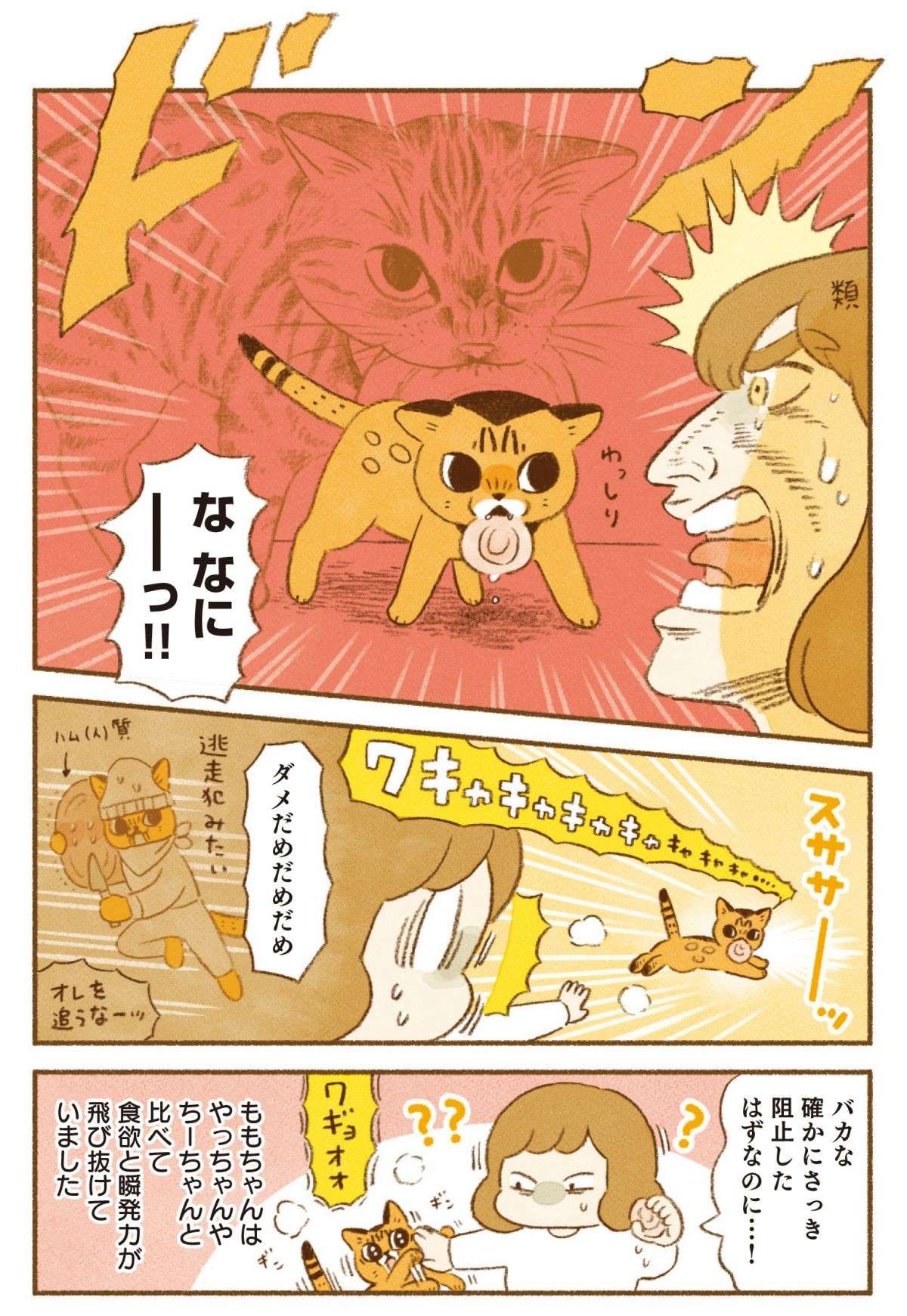 うちの猫は「意外とチョロい」。人間の食べものを狙っていたが、え？／しまねこ3姉妹と暮らしています shimaneko_p77.jpg