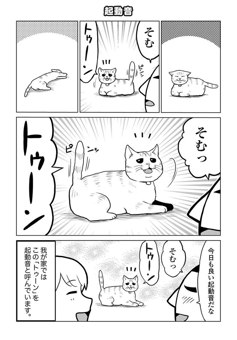 うちの猫が呼ばれた時の「独特の返事」。ほっこりさせる「音」とは／タレ目猫そむが可愛すぎるんじゃ～！ taremeneko05-01.jpg