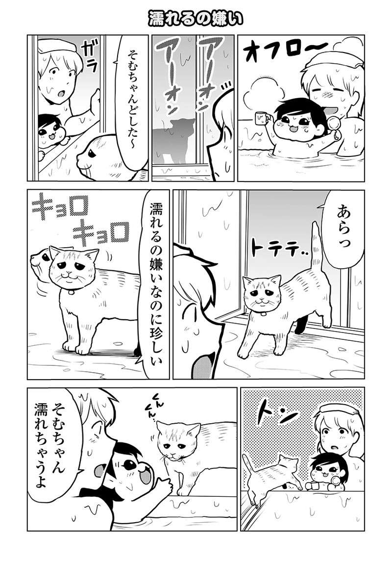 うちの猫が呼ばれた時の「独特の返事」。ほっこりさせる「音」とは／タレ目猫そむが可愛すぎるんじゃ～！ taremeneko05-02.jpg