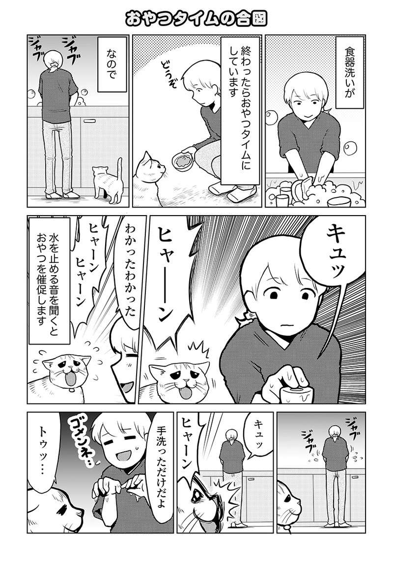 ヒャーン！ 猫がかわいらしく真っすぐな目で「おやつアピール」するが／タレ目猫そむが可愛すぎるんじゃ～！ taremeneko09-01.jpg