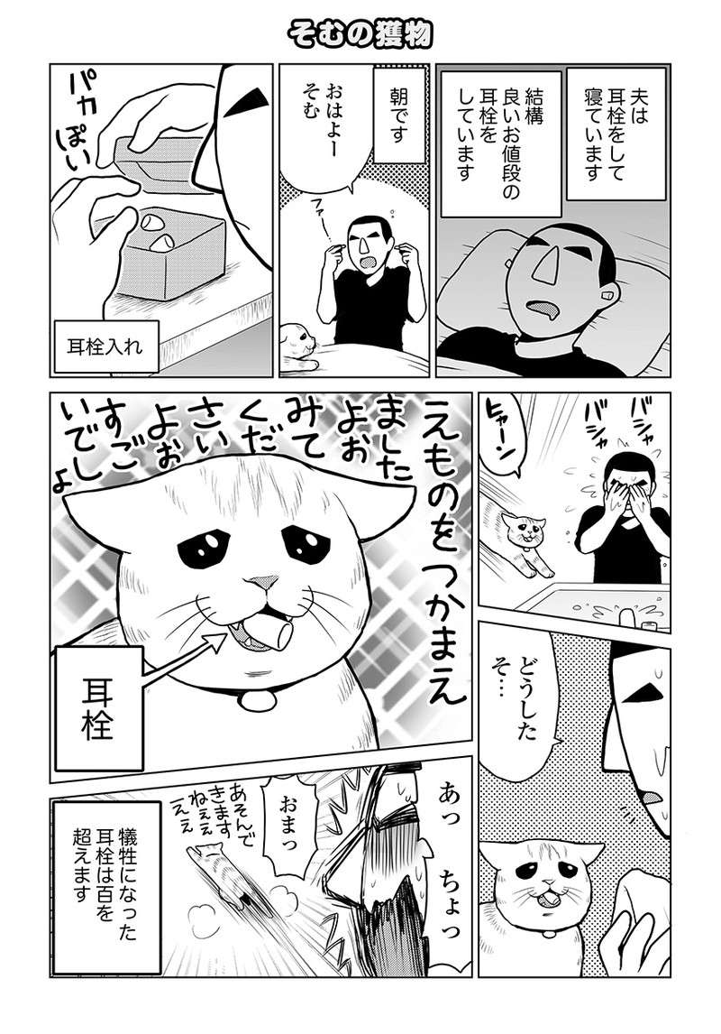 「近い近い」かわいい猫が近寄ってきたのは嬉しいけれど...！／タレ目猫そむが可愛すぎるんじゃ～！ taremeneko11-01.jpg