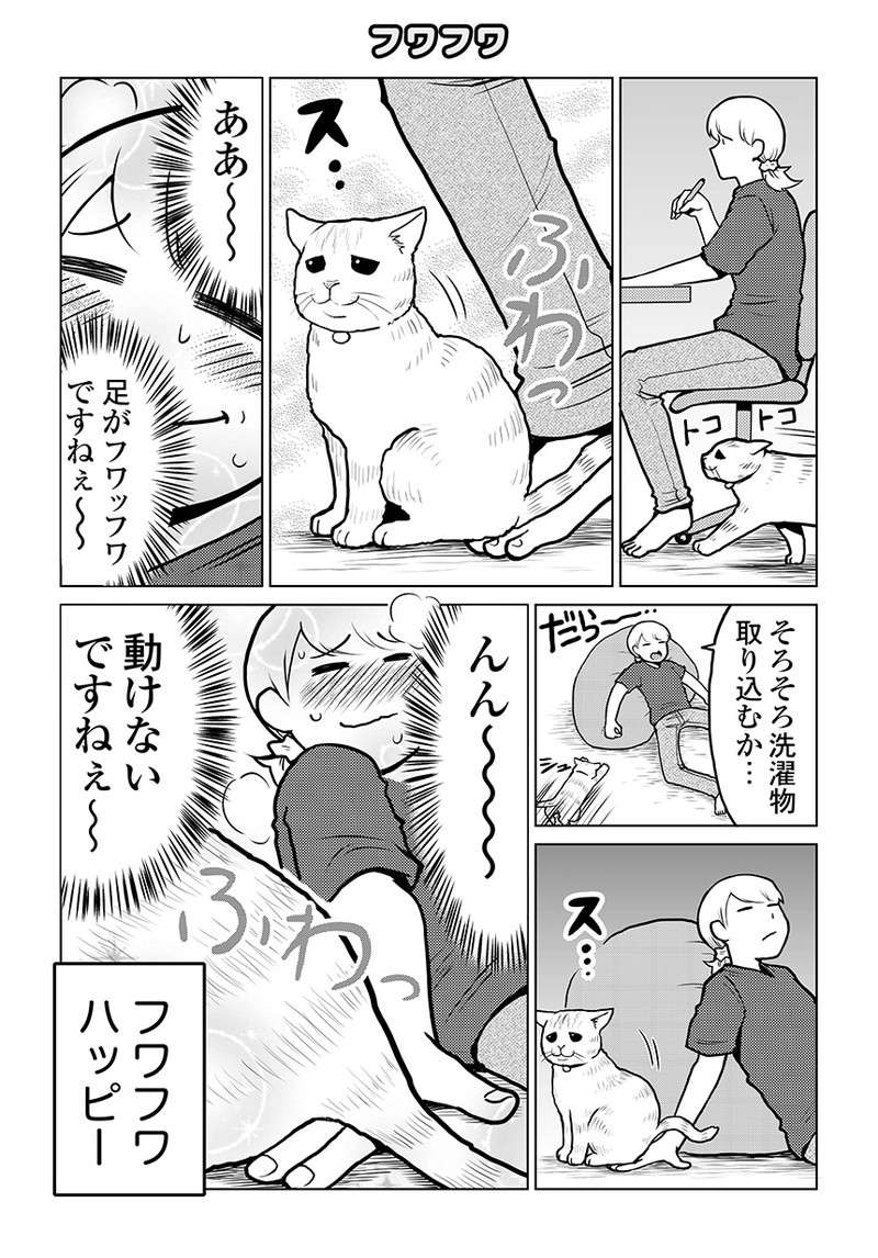 猫が不意に触れた時の「ふわっ...」。この多幸感、わかりますか？／タレ目猫そむが可愛すぎるんじゃ～！ taremeneko14-01.jpg