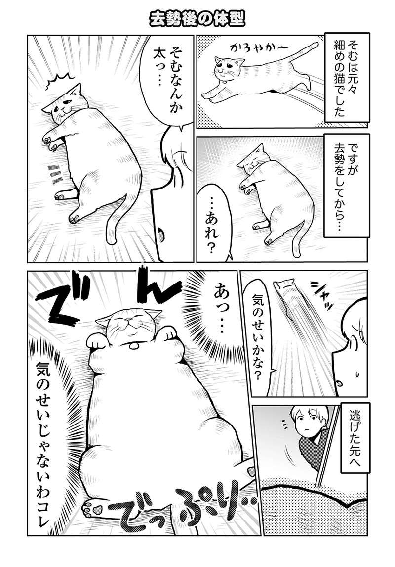 猫が不意に触れた時の「ふわっ...」。この多幸感、わかりますか？／タレ目猫そむが可愛すぎるんじゃ～！ taremeneko14-02.jpg