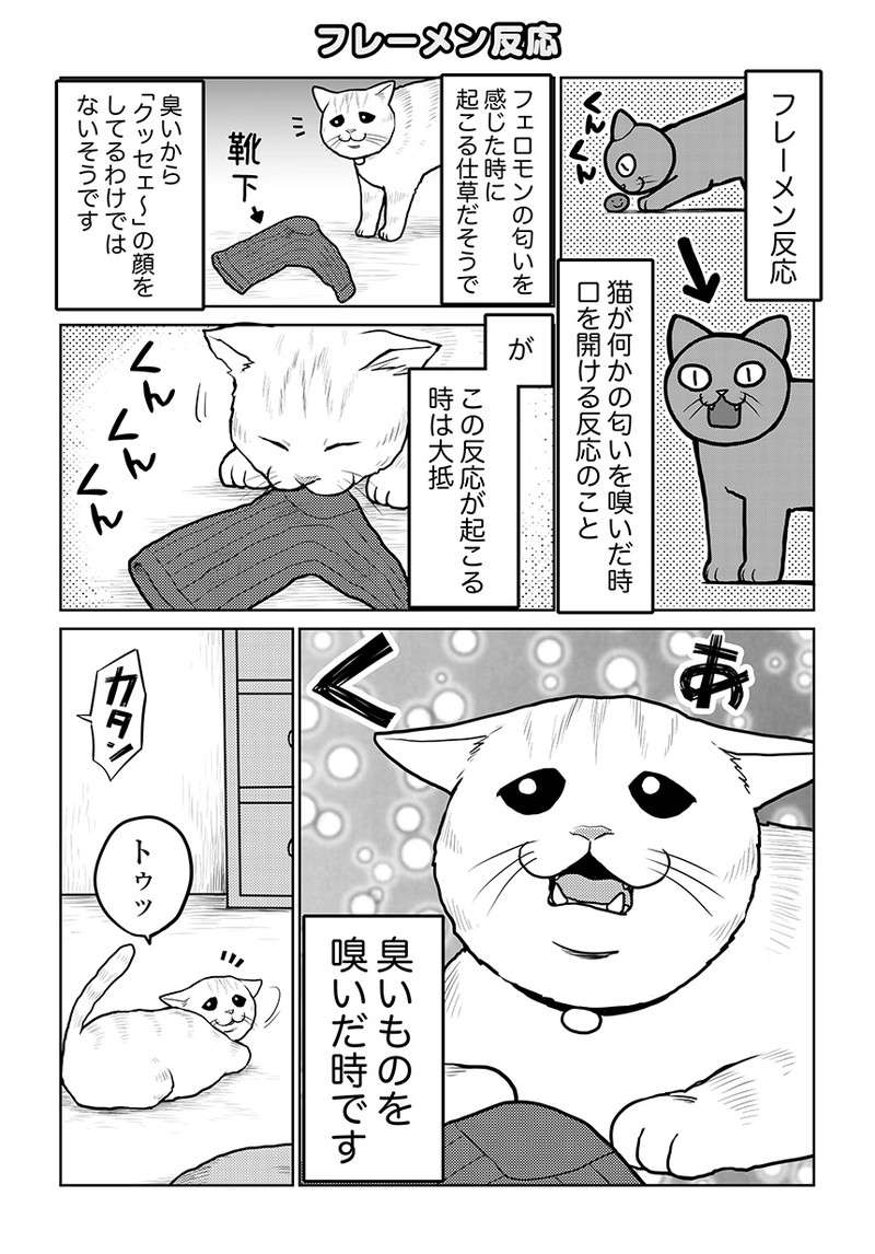 猫と2歳娘と仲良しぶりが愛おしすぎる...。まるでボディガード？／タレ目猫そむが可愛すぎるんじゃ～！ taremeneko15-01.jpg