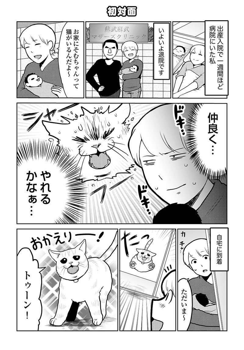 猫と赤ちゃんの初対面。母娘の様子を見ていた「猫の表情」が語るのは...／タレ目猫そむが可愛すぎるんじゃ～！ taremeneko16-01.jpg