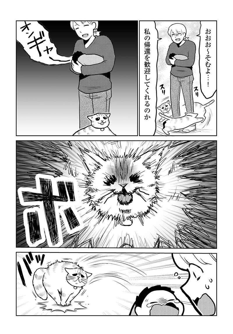 猫と赤ちゃんの初対面。母娘の様子を見ていた「猫の表情」が語るのは...／タレ目猫そむが可愛すぎるんじゃ～！ taremeneko16-02.jpg