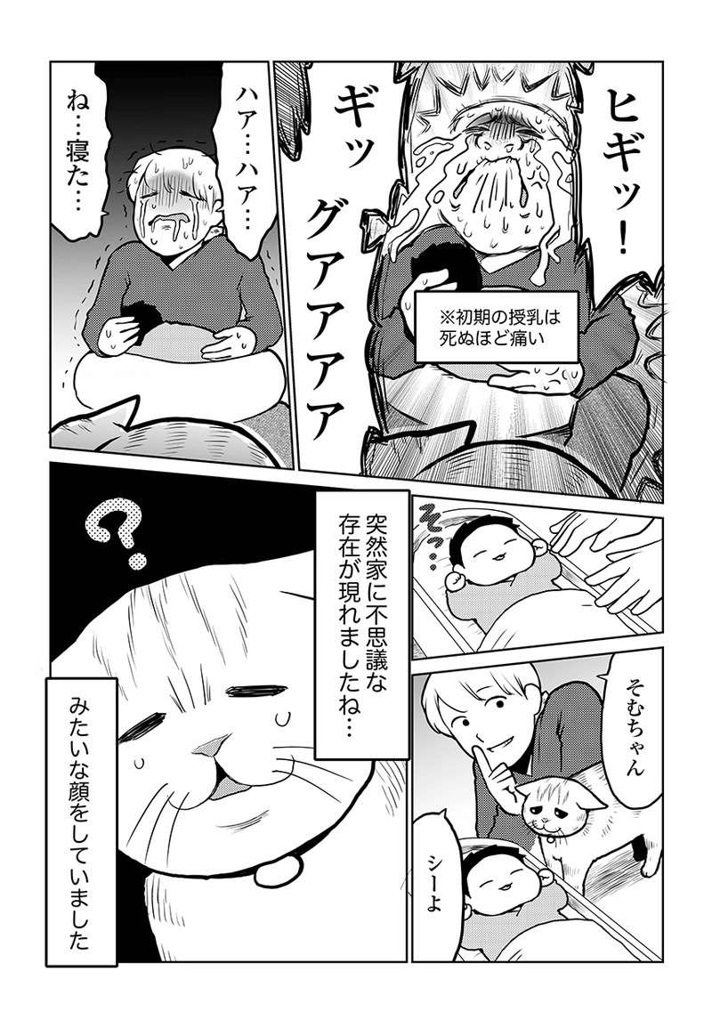 猫と赤ちゃんの初対面。母娘の様子を見ていた「猫の表情」が語るのは...／タレ目猫そむが可愛すぎるんじゃ～！ taremeneko16-04.jpg