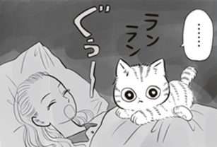 子猫は眠れない夜に何をしているのか。翌朝、飼い主の第一声は「...誰？」／トラと陽子