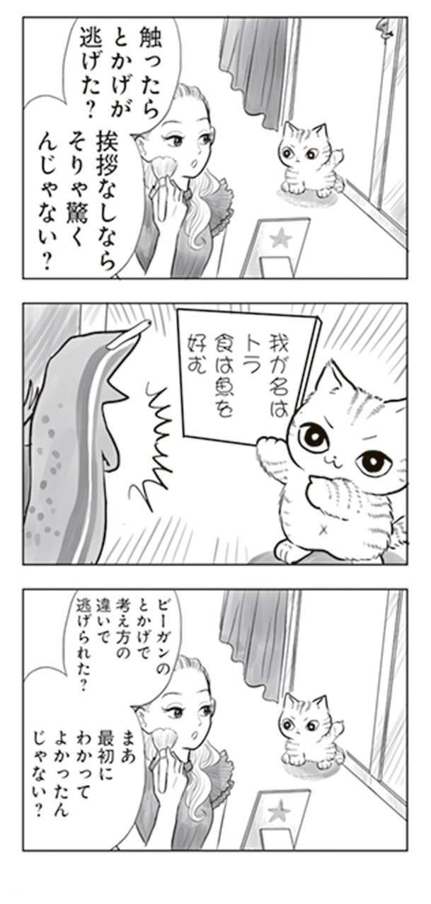  猫が目の前に現れた敵にパンチ！ 結果、反省することになったワケは／トラと陽子 tora_yoko5-2.jpg