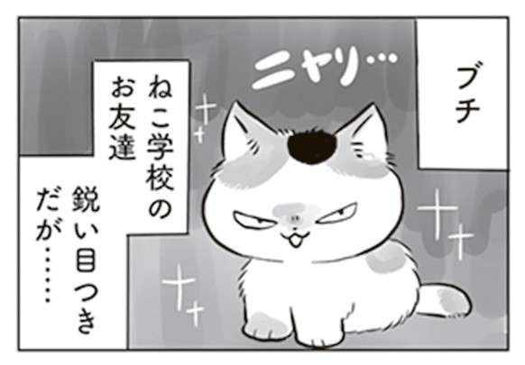  「癒される」とSNSで人気の猫マンガ。超怖がりな猫が起こした騒動とは...／トラと陽子 tora_yoko6-1.jpg