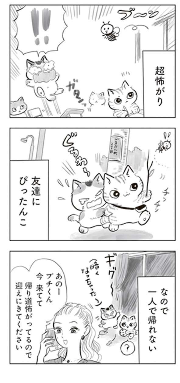  「癒される」とSNSで人気の猫マンガ。超怖がりな猫が起こした騒動とは...／トラと陽子 tora_yoko6-2.jpg